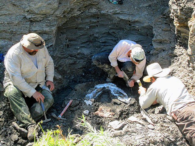 Excavation